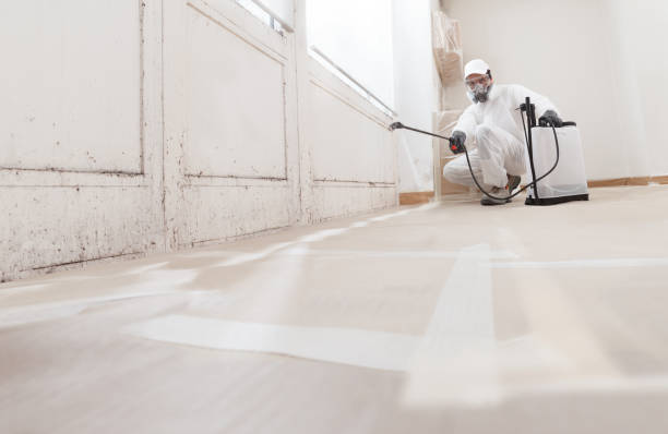 24/7 Emergency Commercial Mold Remediation experts in Springfield, TN